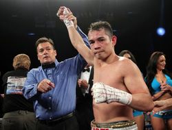 фото - Бой Убаали-Донэйр не состоится, у француза проблемы с визой. Замена вас порадует