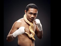 фото - Донни Ньетес буднично остался чемпионом мира