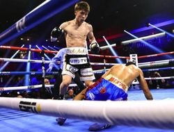 фото - Почему «Монстр» Иноуэ не станет суперзвездой бокса? Отвечает Эдди Хирн