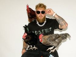 фото - Мегафайт Пол – Дэвис: нокаут не исключён, будет даже ИИ-судья