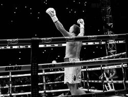 фото - В WBO поставят ультиматум Усику — Паркер или титул? Заявление президента организации