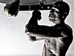 фото - Шафер: «Котто хочет бой с Альваресом? Окей, но без участия Top Rank»