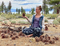 фото - Годовщина яркой победы Ломаченко, Шевченко с гигантскими шишками, Кличко лично поздравили Завьялова — соцсети 