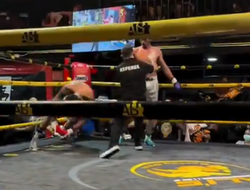 фото - Хотите знать, почему бойцов ММА не стоит выпускать на боксёрский поединок? Жуткое видео