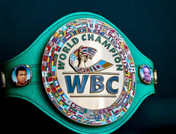 фото - Киевский титульник отменён, хаос и жесть в крузервейте — решения WBC