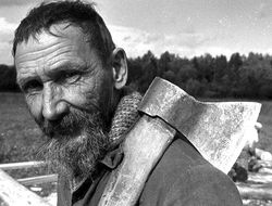 фото - В лесу потерялся топор Дровосека...