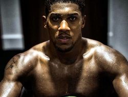 фото - Джошуа о бое с Мартином: Это будет лучшее моё выступление