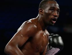 фото - Арум задумал свести Кроуфорда с Проводниковым и Пакьяо?