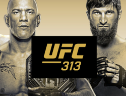 фото - Перейра–Анкалаев: кто победит? 8 бойцов UFC сделали прогнозы