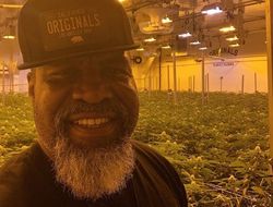 фото - Киборг в вечерем платье, Бриггс в конопле, Хитров благодарит за поддержку — соцсети