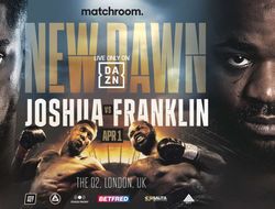 фото - Энтони Джошуа – Джермейн Франклин. Результаты