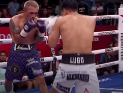 фото - Ничья Лары, красивый нокаут от Кэррингтона: видео