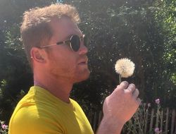 фото - Альварес не выступит в сентябре. Наклёвывается Ковалёв?