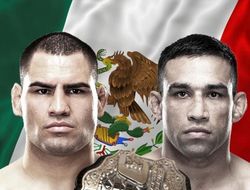 фото - Видео: Веласкес vs. Вердум, Мелендес vs. Альварес – лицом к лицу