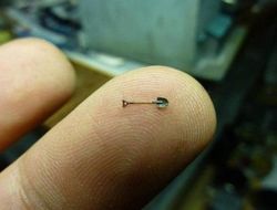 фото - $64 тысячи на всех: обнародованы гонорары участников последнего шоу от Арума