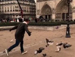 фото - Сауль Альварес под AC/DC гоняет голубей в Париже — видео