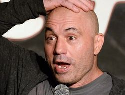 фото - Флойд Мэйуэзер не шутит, он хочет выступать в UFC — Джо Роган