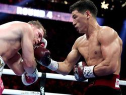 фото - Для Бивола это вопрос наследия — Хирн о реванше с Канело