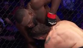 Эдвардс побил Сильвейру. Результаты PFL World Tournament 7 