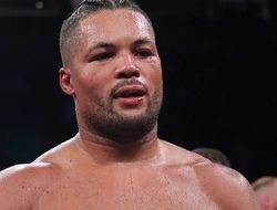 фото - «Это Усик». Джойс обозначил цель №1