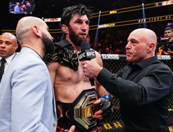 фото - Ой, божечки! Анкалаев предлагает Перейре сделать это «без вазелина»