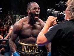 фото - Тайсон Фьюри ответил на обвинения Уайлдера: У чувака просто колпак сорвало…