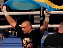 фото - Усик — не первый и даже не второй. Топ-5 хэвивейта от тренера Деонтея Уайлдера