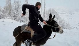 Гиясову предложат бой за временный титул. Назван соперник