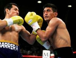 фото - Легендарный Моралес планирует камбэк, а Чеслак подерётся с россиянином