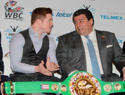 фото - Президент WBC рекомендует Головкину соглашаться на условия Альвареса