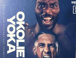 фото - Вечер бокса Околи-Йока в Париже отменён