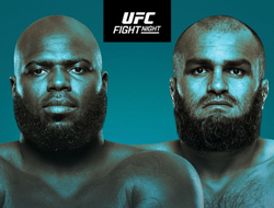 фото - Прямая трансляция UFC Fight Night 238: Розенструйк – Газиев. Смотреть онлайн