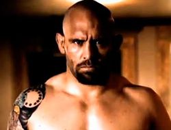 фото - (ММА) Шейн Карвин получил травму и не будет драться с Роем Нельсоном