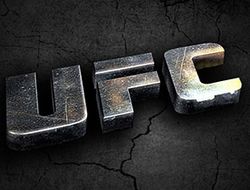 фото - (ММА) В 2014 году UFC планирует впервые посетить Турцию и Польшу