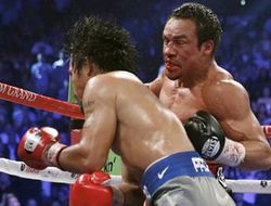 фото - Источник: Хуан Мануэль Маркес решил продолжить карьеру