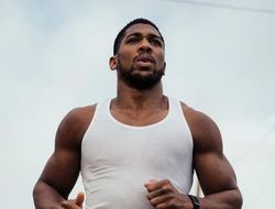 фото - Джошуа показал спаррингёров. Готовиться к Уайту ему помогает экс-соперник Усика