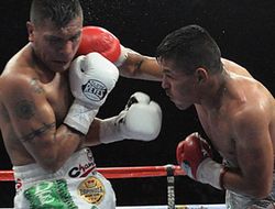 фото - Понсе де Леон завершил карьеру досрочным поражением от Мигеля Романа