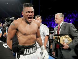 фото - Элейдер Альварес ярко удосрочил Майкла Силса (+ видео)