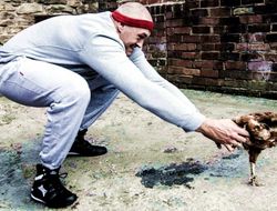 фото - За бой с Кличко Фьюри может получить до $8 млн