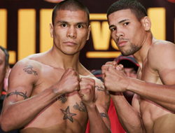 фото - Даниэль Понсе Де Леон: «В реванше с "Хуанмой" заряжаюсь только на нокаут»