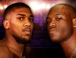 фото - На Showtime рассказали, когда ждать унификацию Джошуа–Уайлдер