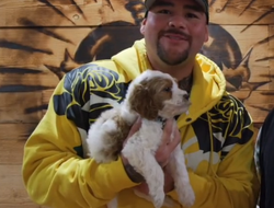 фото - Хотел, чтобы Паркер выбил дер*мо из Уайлдера, а Джошуа не впечатлил — Энди Руис