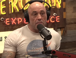 фото - Роган назвал бой, от которого отказался Топурия