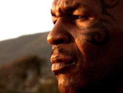 фото - BoxRec: Мэйуэзер — величайший боец всех времён, Майк Тайсон не попал в топ-10