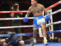 фото - Каким вернётся Меликузиев после нокаута от Росадо? Отвечает главред The Ring