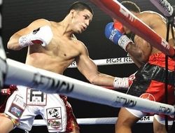 фото - У Ломаченко с Лопесом будет добротный андеркард: Сауседо, Берланга, Коллард