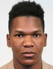 Дайньер Перо