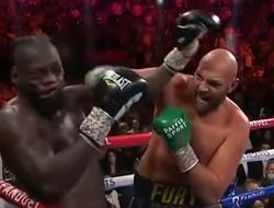 фото - Фьюри–Уайлдер 4 вместо боя с Усиком? WBN пишет — да, как вариант