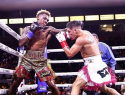 фото - Реакция боксёрской общественности на победу Чарло над Кастаньо