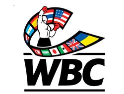 фото - Обновился рейтинг WBC: Гвоздик и Беринчик покинули топ-15